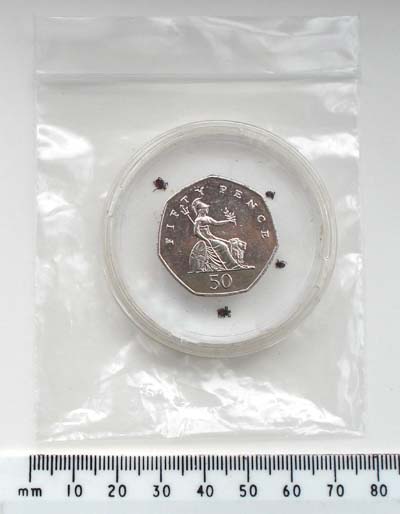 Tick collection / storage kit